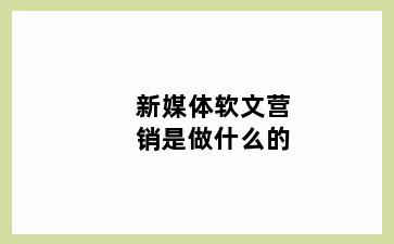 新媒体软文营销是做什么的
