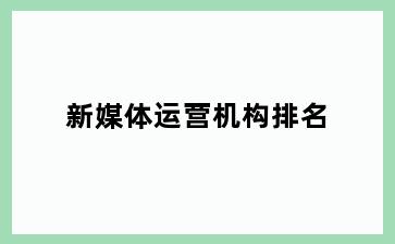 新媒体运营机构排名