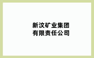 新汶矿业集团有限责任公司