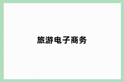 旅游电子商务