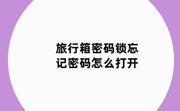 旅行箱密码锁忘记密码怎么打开