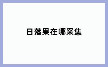 日落果在哪采集