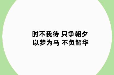 时不我待 只争朝夕 以梦为马 不负韶华
