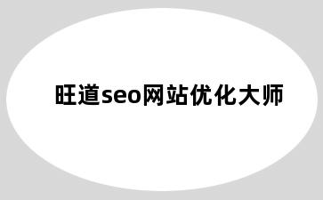 旺道seo网站优化大师