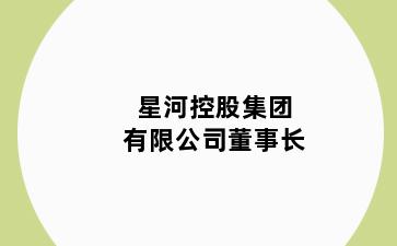 星河控股集团有限公司董事长