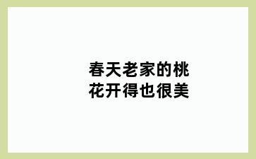 春天老家的桃花开得也很美