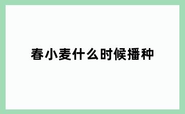 春小麦什么时候播种