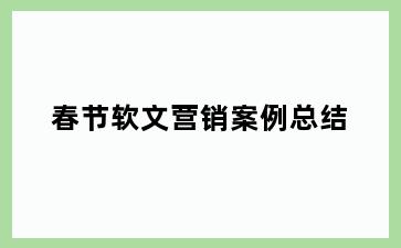 春节软文营销案例总结