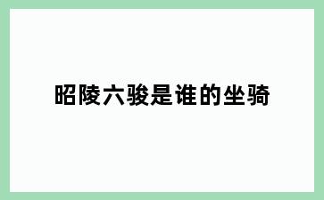 昭陵六骏是谁的坐骑