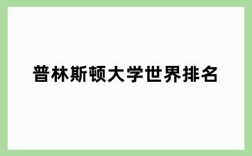 普林斯顿大学世界排名