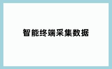 智能终端采集数据