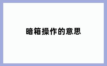 暗箱操作的意思