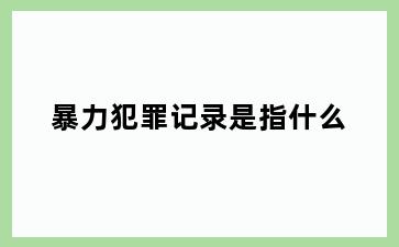 暴力犯罪记录是指什么