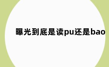 曝光到底是读pu还是bao