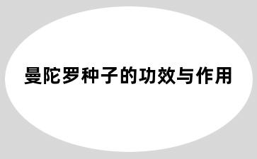 曼陀罗种子的功效与作用