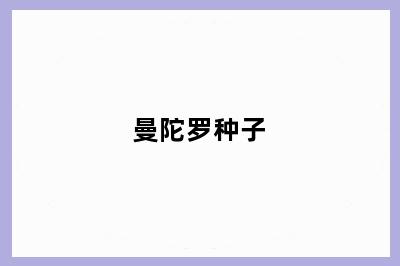 曼陀罗种子