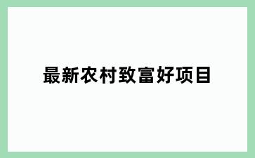 最新农村致富好项目