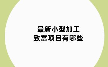 最新小型加工致富项目有哪些