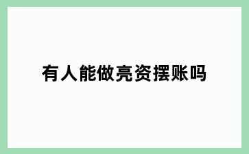 有人能做亮资摆账吗