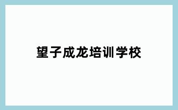 望子成龙培训学校