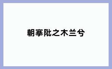 朝搴阰之木兰兮