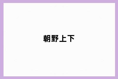 朝野上下
