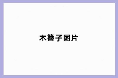 木簪子图片