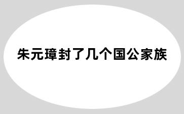 朱元璋封了几个国公家族