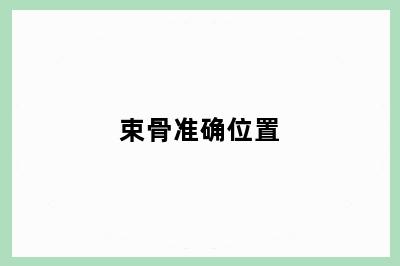 束骨准确位置