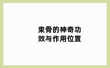 束骨的神奇功效与作用位置