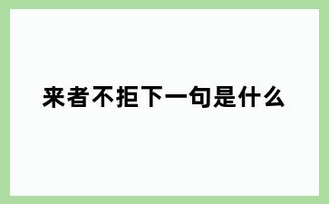 来者不拒下一句是什么