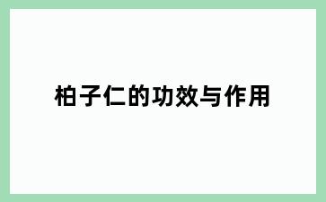 柏子仁的功效与作用