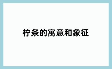 柠条的寓意和象征