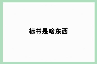 标书是啥东西