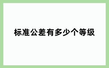 标准公差有多少个等级