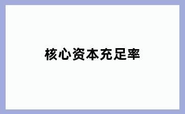 核心资本充足率