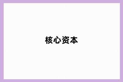 核心资本