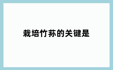 栽培竹荪的关键是