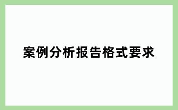 案例分析报告格式要求