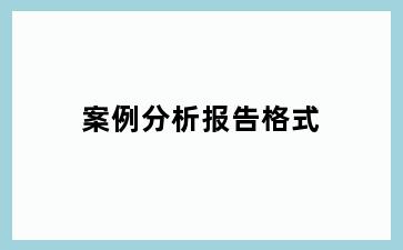 案例分析报告格式