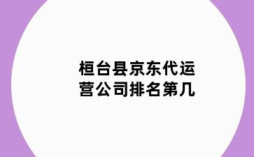 桓台县京东代运营公司排名第几