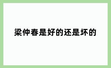 梁仲春是好的还是坏的