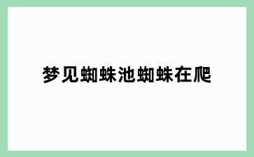 梦见蜘蛛池蜘蛛在爬