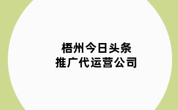 梧州今日头条推广代运营公司