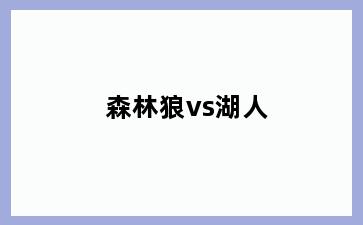 森林狼vs湖人