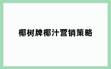 椰树牌椰汁营销策略