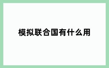 模拟联合国有什么用