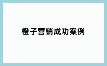橙子营销成功案例
