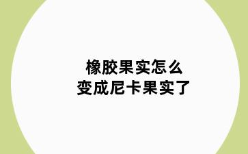 橡胶果实怎么变成尼卡果实了