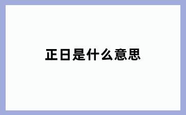 正日是什么意思